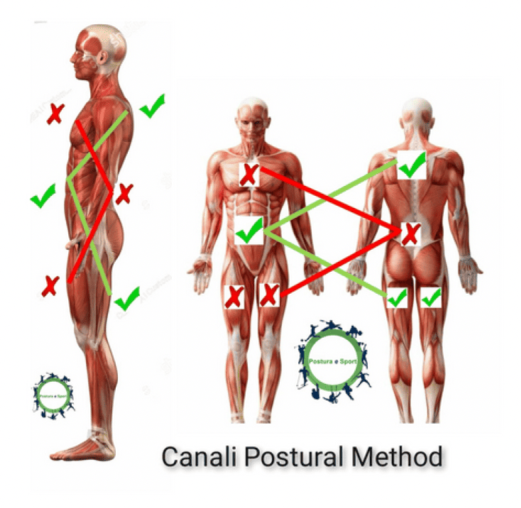 riprogrammazione posturale, personal training, rieducazione funzionale, postura, posturologia, corsi di formazione posturale, canali Postural Method, mal di schiena, scoliosi, male al collo, alluce valgo, implemento performance, atleta, ginnastica correttiva, prevenzione, infortunio, post intervento, sport, formazione, corsi di formazione